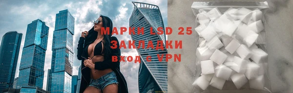 дурь Алексин