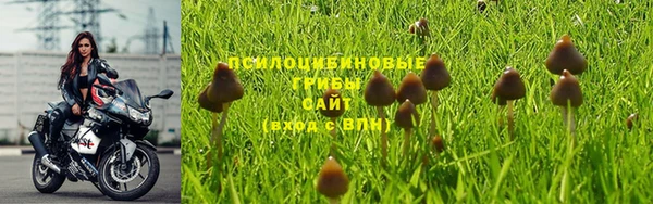 дурь Алексин