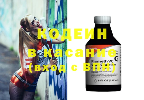 дурь Алексин