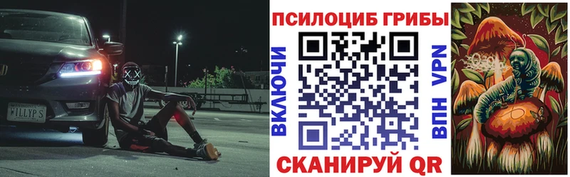 Галлюциногенные грибы Psilocybe  omg как войти  Тайшет 