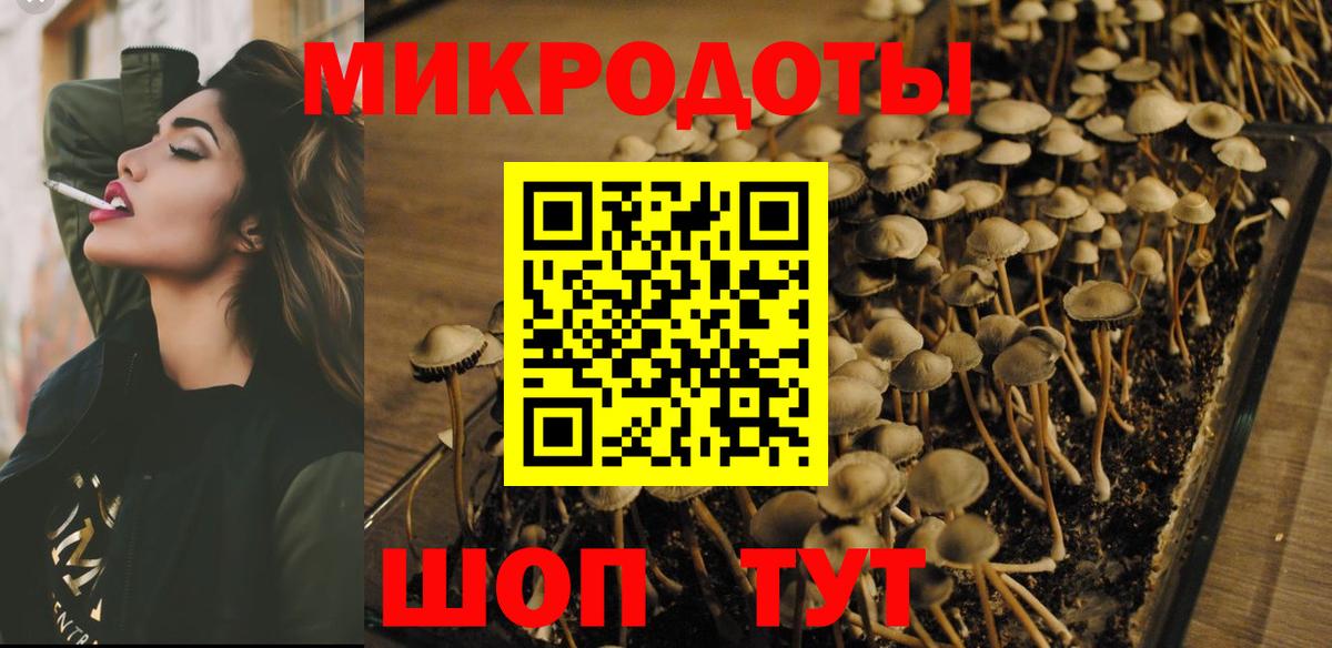 Галлюциногенные грибы мухоморы Тайшет