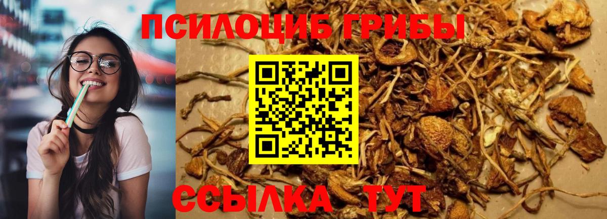 Галлюциногенные грибы мицелий  Вход с VPN  Псилоцибиновые грибы ЛСД  Тайшет 