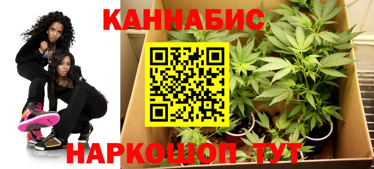 МАРИХУАНА LSD WEED  Шишки марихуана индика  Тайшет  Марихуана THC 21%  Вход с VPN  Конопля тримм 